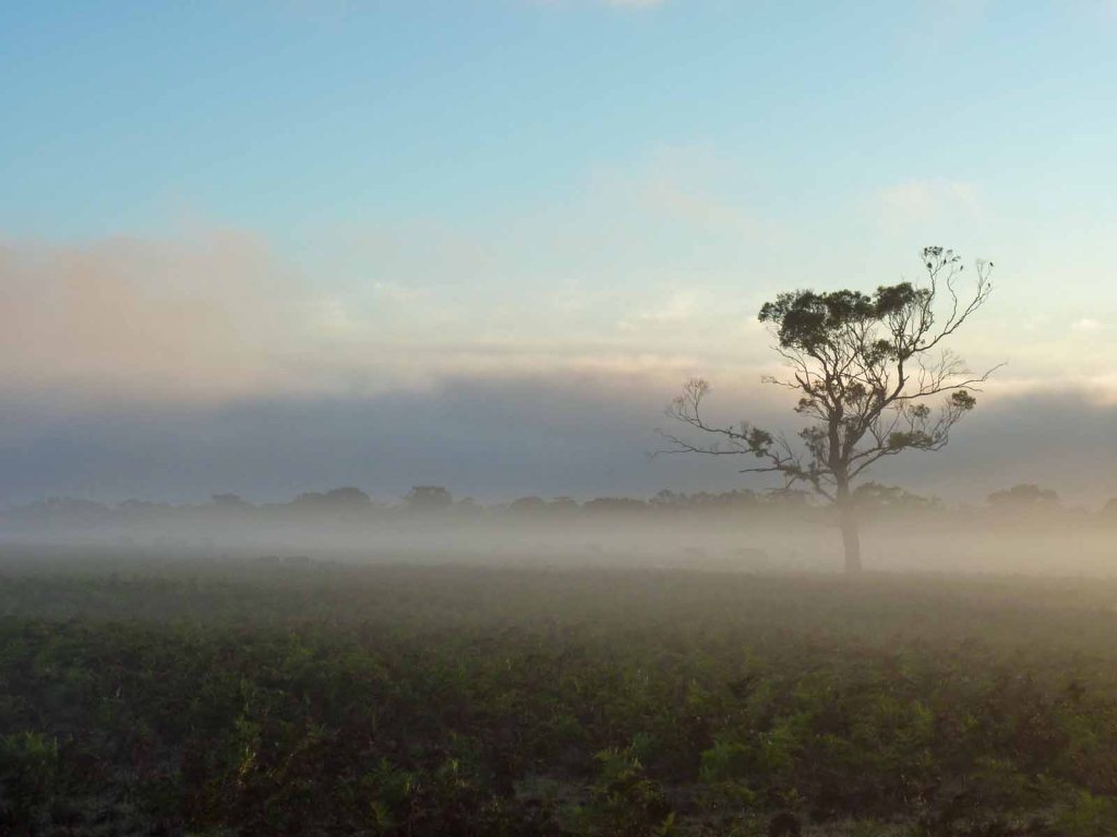 Nunduk – learning to apply regenerative&nbsp;development